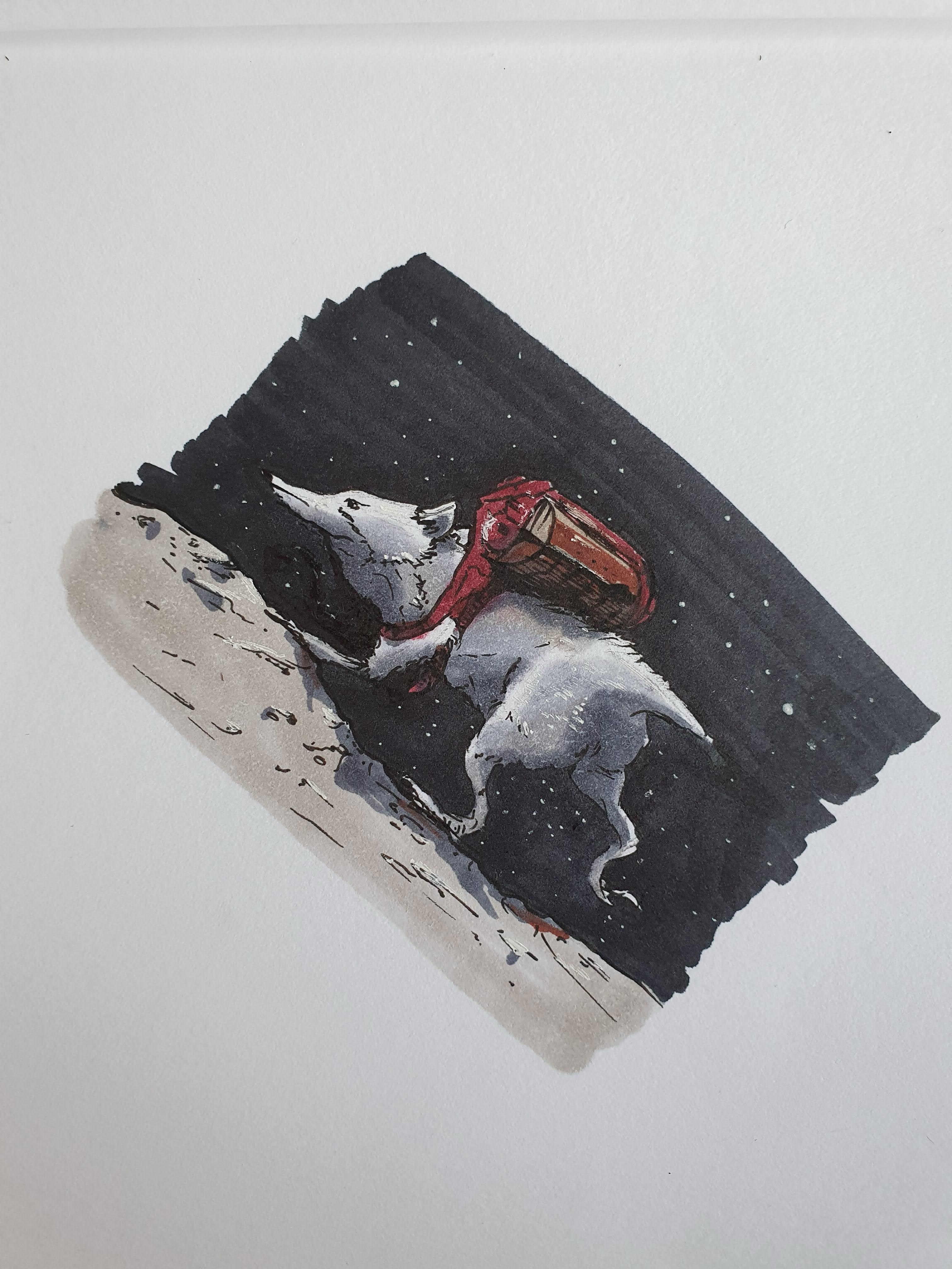 Wolf in Snow